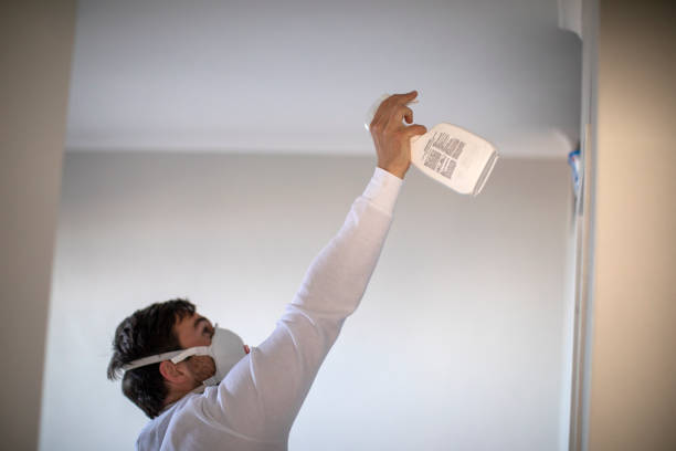 Best Attic Mold Removal  in Kings Bay Base, GA
