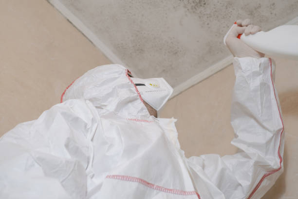 Best Residential Mold Removal  in Kings Bay Base, GA